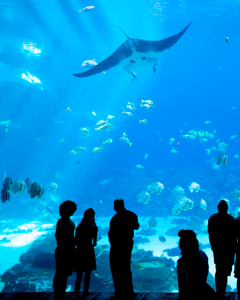 aquarium itsas mendi